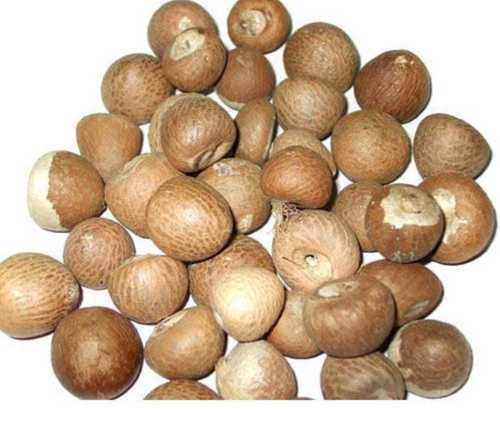 Common Organic Pure Betel Nuts