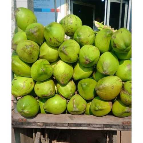 Raw Green Tender Coconut