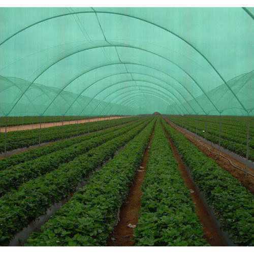 Agricultural Multi-Span Greenhouse Shade Net For Horticulture