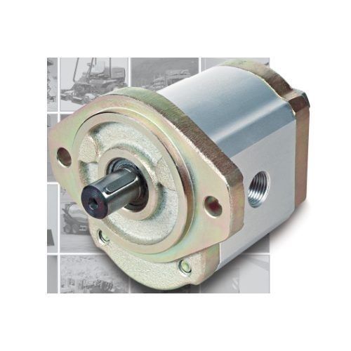 Cast Iron Hydraulic Gear Motors