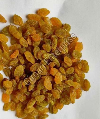 Healthy And Natural Organic Golden Raisins