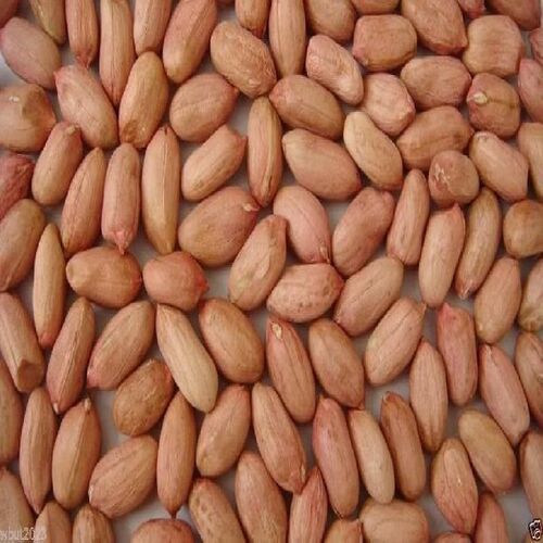 Healthy and Natural Organic Peanut Seeds