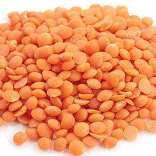 Healthy and Natural Organic Red Masoor Dal - Standard Grain Size, Non Harmful, Very Good Quality, Ideal for Cooking and Human Consumption