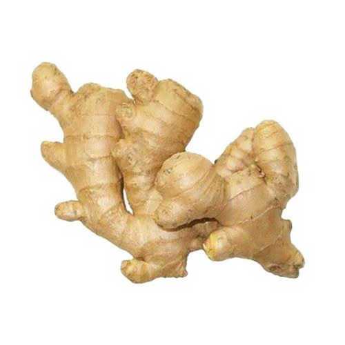 Seasoned Fresh Ginger In Gunny Bag