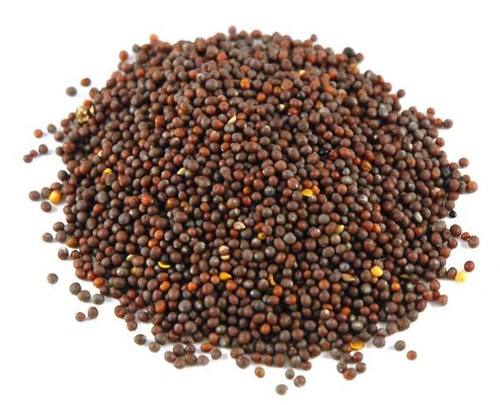 Healthy and Natural Mustard Oil Seeds