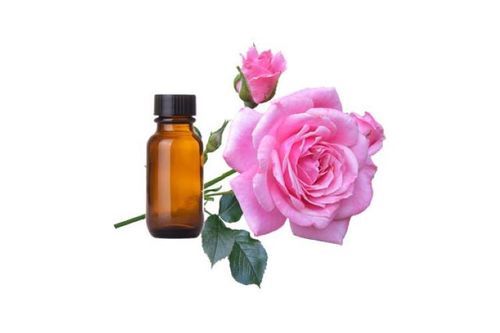 Rose Flower Petal Extract