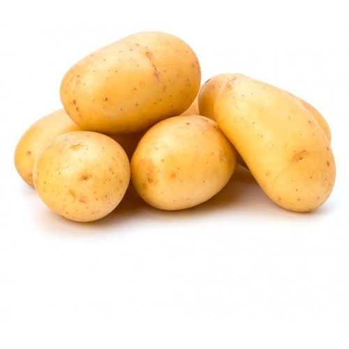 Healthy and Natural Fresh Big Potato