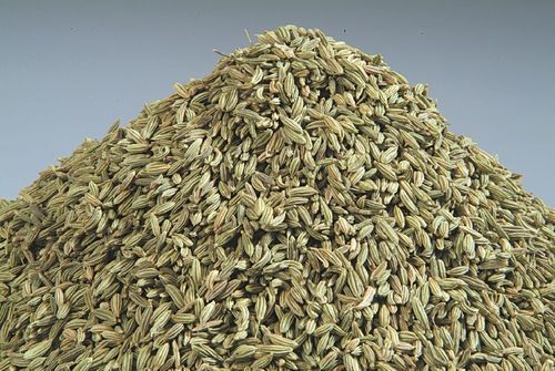 Healthy and Natural Organic Fennel Seeds