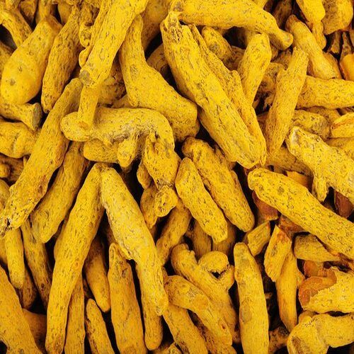 Yellow Healthy And Natural Turmeric Finger