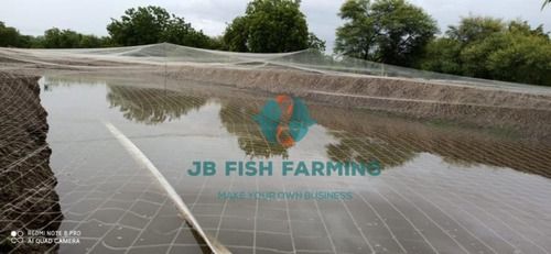 Fish Farming Consultancy - Professional Guidance for Optimal Service Charges | Cooperative and Friendly Team Ensuring Client Satisfaction