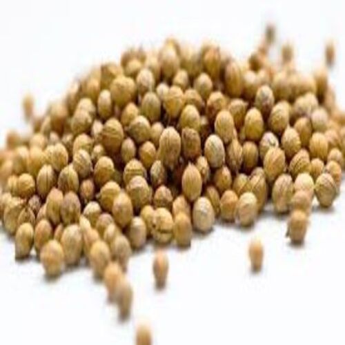 Healthy and Natural Coriander Seeds