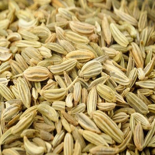 Healthy and Natural Fennel Seeds