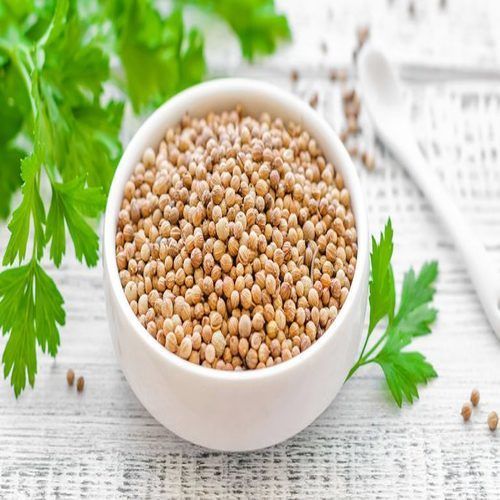 Healthy and Natural Organic Coriander Seeds