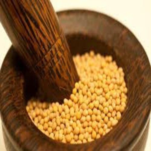 Healthy and Natural Yellow Mustard Seeds