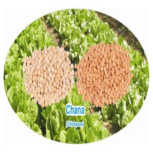 Healthy and Natural Organic Chickpeas