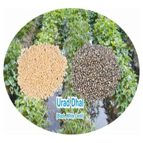 Healthy and Natural Urad Dal