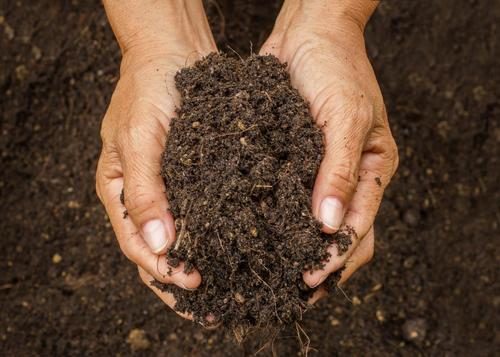 Brown Vermicompost Fertilizer