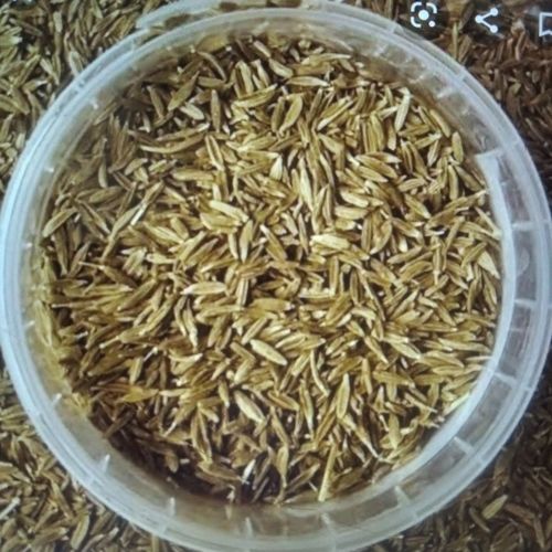 Black Cumin Seed