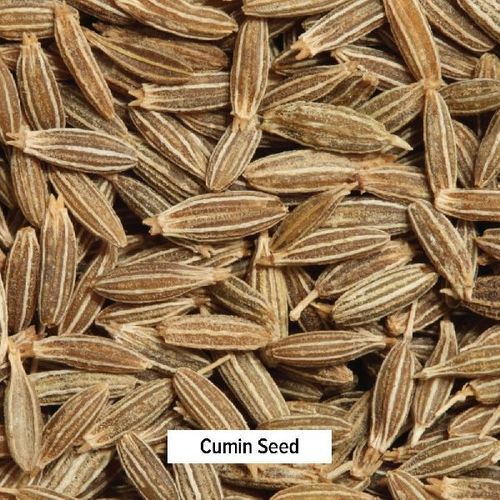 Healthy and Natural Cumin Seeds