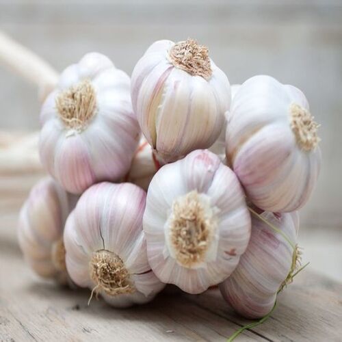 Healthy and Natural Fresh Organic Garlic