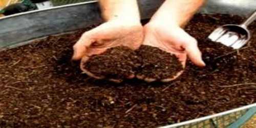 Brown Chemical Free Retake Organic Fertilizer Powder