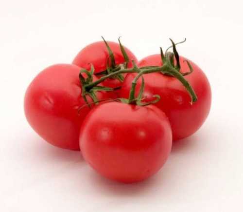 Fresh Red Juicy Tomato