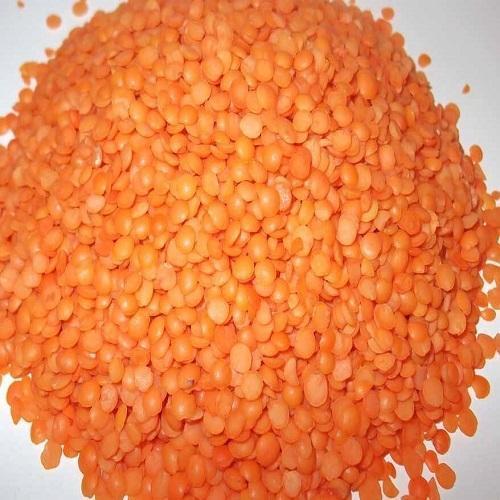 Healthy And Natural Dhuli Masoor Dal Grain Size: Standard