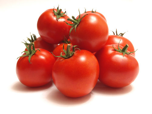 Healthy and Natural Fresh Red Tomato