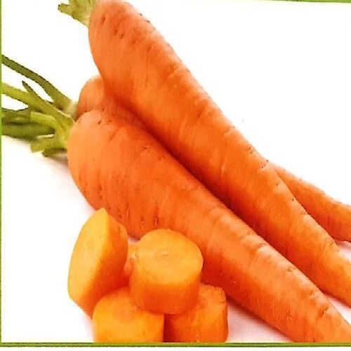 Fresh Orange Carrot - 10mm x 10mm x 15mm x 15mm, Food Grade Quality for Cooking and Human Consumption, Natural Taste & Non-Harmful