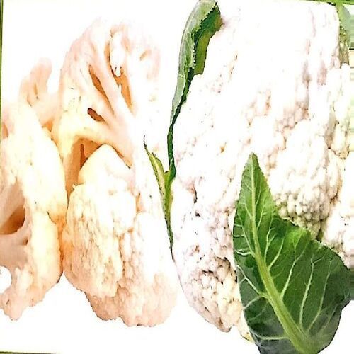 Healthy And Natural Fresh Cauliflower Pack Size: 50 Piece