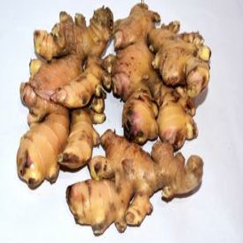 Healthy and Natural Organic Fresh Ginger