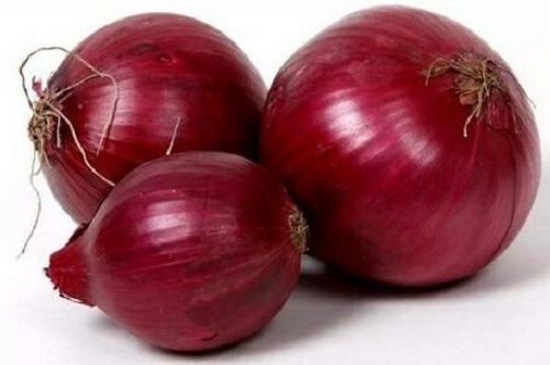 Farm Fresh Big Onion