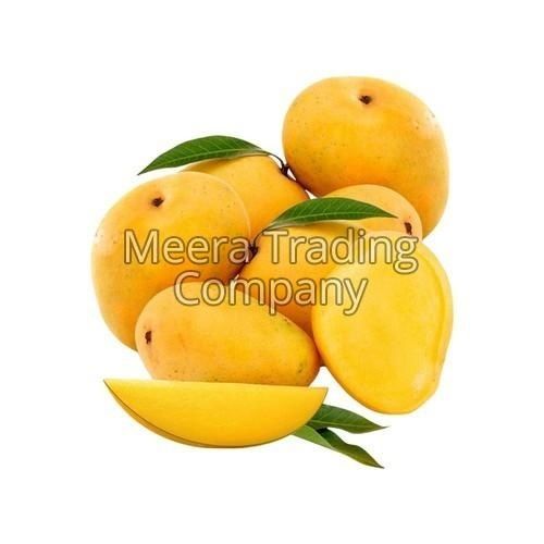 Yellow Farm Fresh Kesar Mango