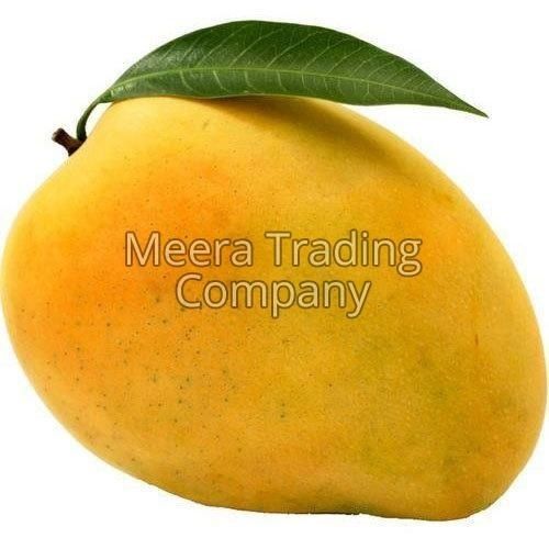 Farm Fresh Yellow Mango