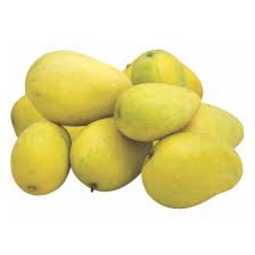 Yellow Healthy And Natural Fresh Badami Mango