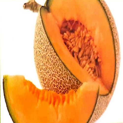 Orange Healthy And Natural Fresh Muskmelon