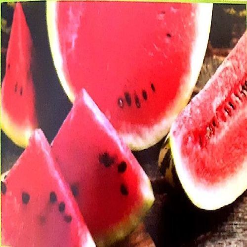 Healthy And Natural Fresh Watermelon Size: Standard