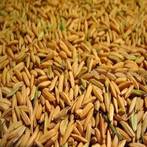 Healthy And Natural Organic Long Grain Paddy Rice Shelf Life: 6 Months