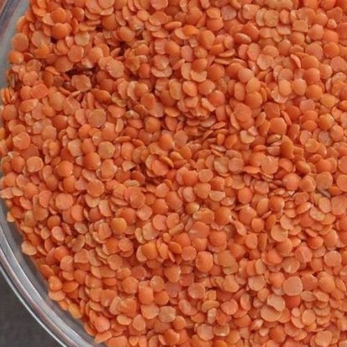 Healthy And Natural Red Lentils Grain Size: Standard