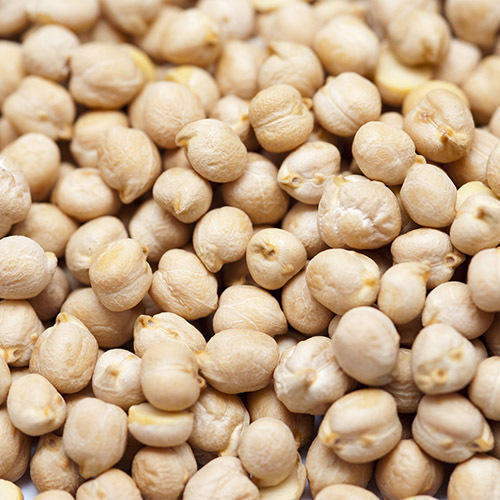 Healthy and Natural White Chickpeas