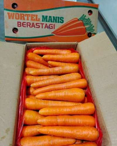 Whole A Grade Fresh Carrot