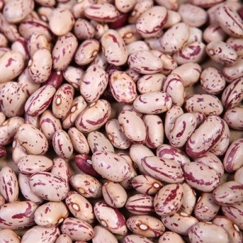 Healthy And Natural Organic Speckled Kidney Beans Grade: Food Grade