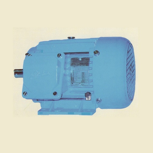 Blue 3 Phase Mild Steel Induction Motors