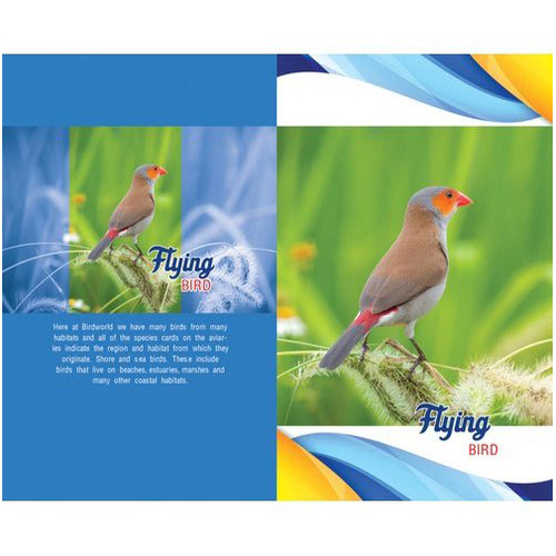 Light Weight Bird Printed Notebook Cover