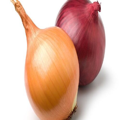 Organic Fresh Onion - Jute Bag, 50kg | Food Grade, Natural Taste, No Preservatives, Ideal for Cooking, Very Good Quality