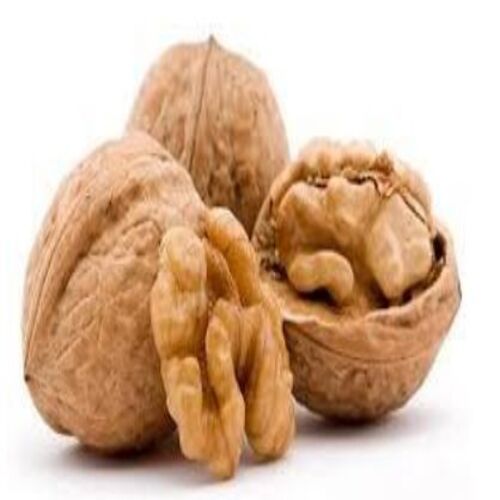 स्वस्थ और प्राकृतिक ब्राउन वॉलनट कर्नेल