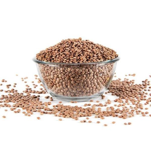 Healthy And Natural Organic Brown Whole Masoor Dal  Grain Size: Standard