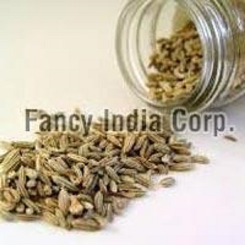 Green Rich Taste Fennel Seeds