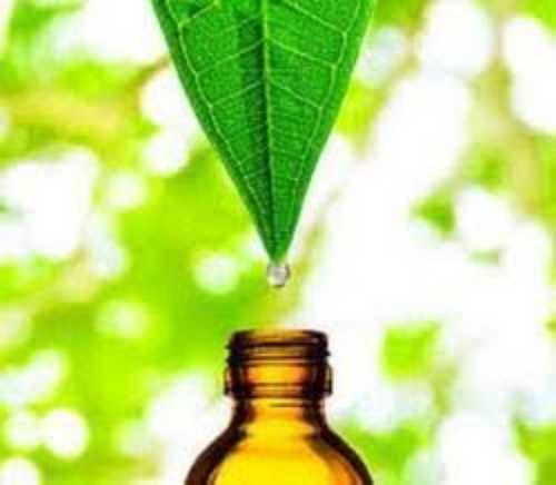 Bio Grade Plant Extract