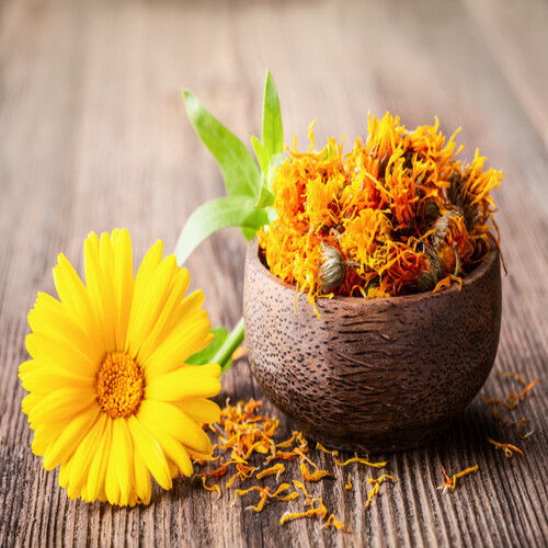 Red Healthy And Natural Fresh Calendula Flowers